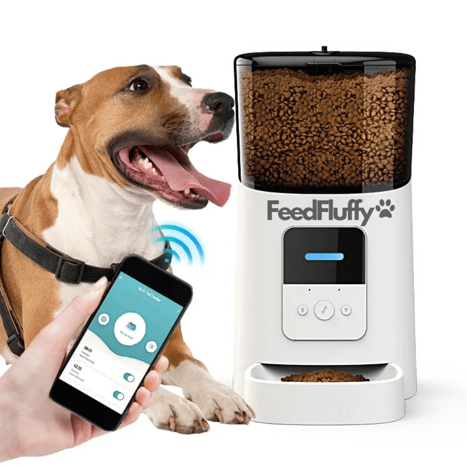 Automatic Pet Feeder feedfluffy 